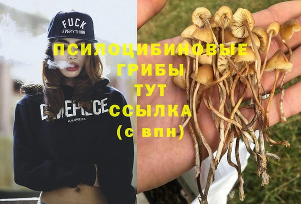 хмурый Медвежьегорск