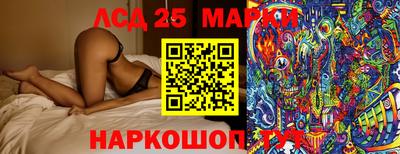 спиды Камышлов