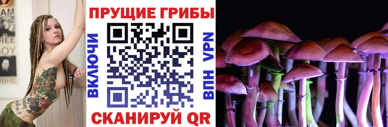 Псилоцибиновые грибы Cubensis где купить наркотик Мичуринск
