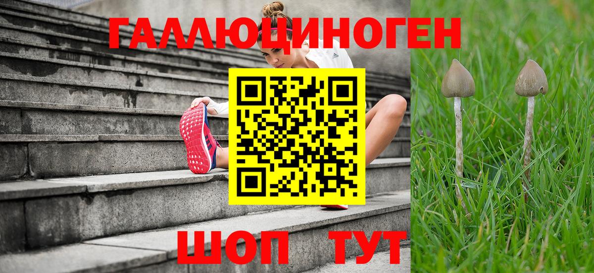 Псилоцибиновые грибы Magic Shrooms Мичуринск