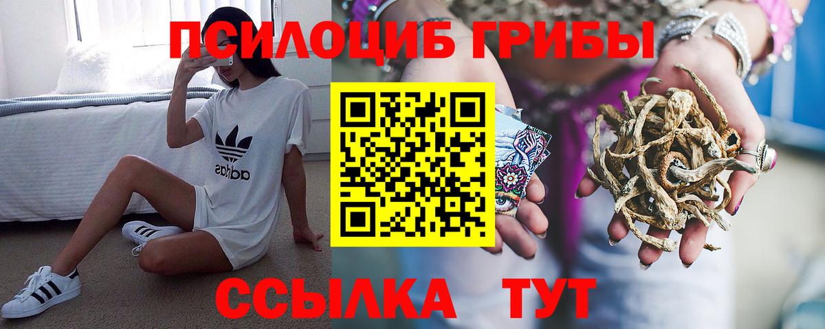 Галлюциногенные грибы MAGIC MUSHROOMS  Мичуринск 